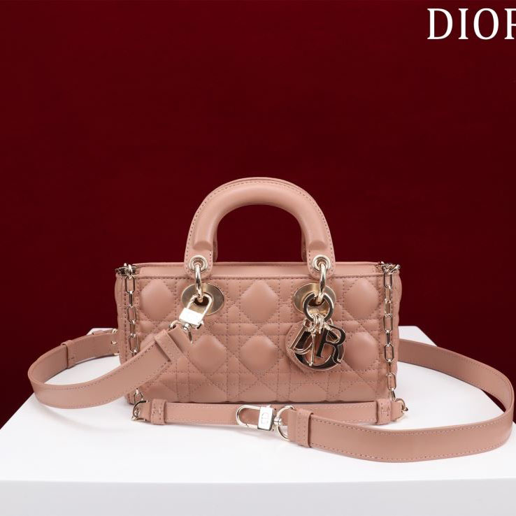 chr1st1an D10r my lady bags